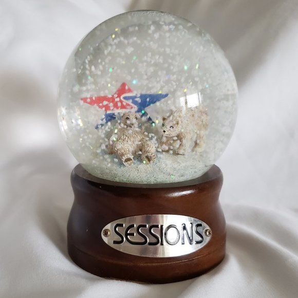 **SOLD**RARE COLLECTIBLE Polar Bear Snow Globe from SESSIONS Snowboard - Picture 1 of 4